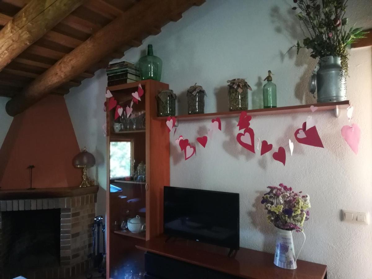 Apartamento En Pleno Montseny Mas Romeu Turisme Rural Arbúcies Εξωτερικό φωτογραφία