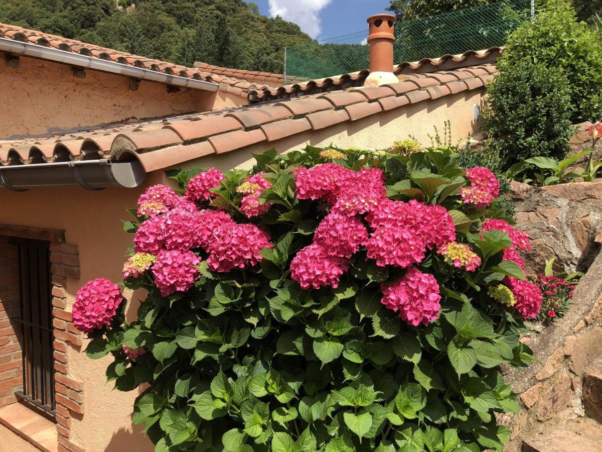Apartamento En Pleno Montseny Mas Romeu Turisme Rural Arbúcies Εξωτερικό φωτογραφία
