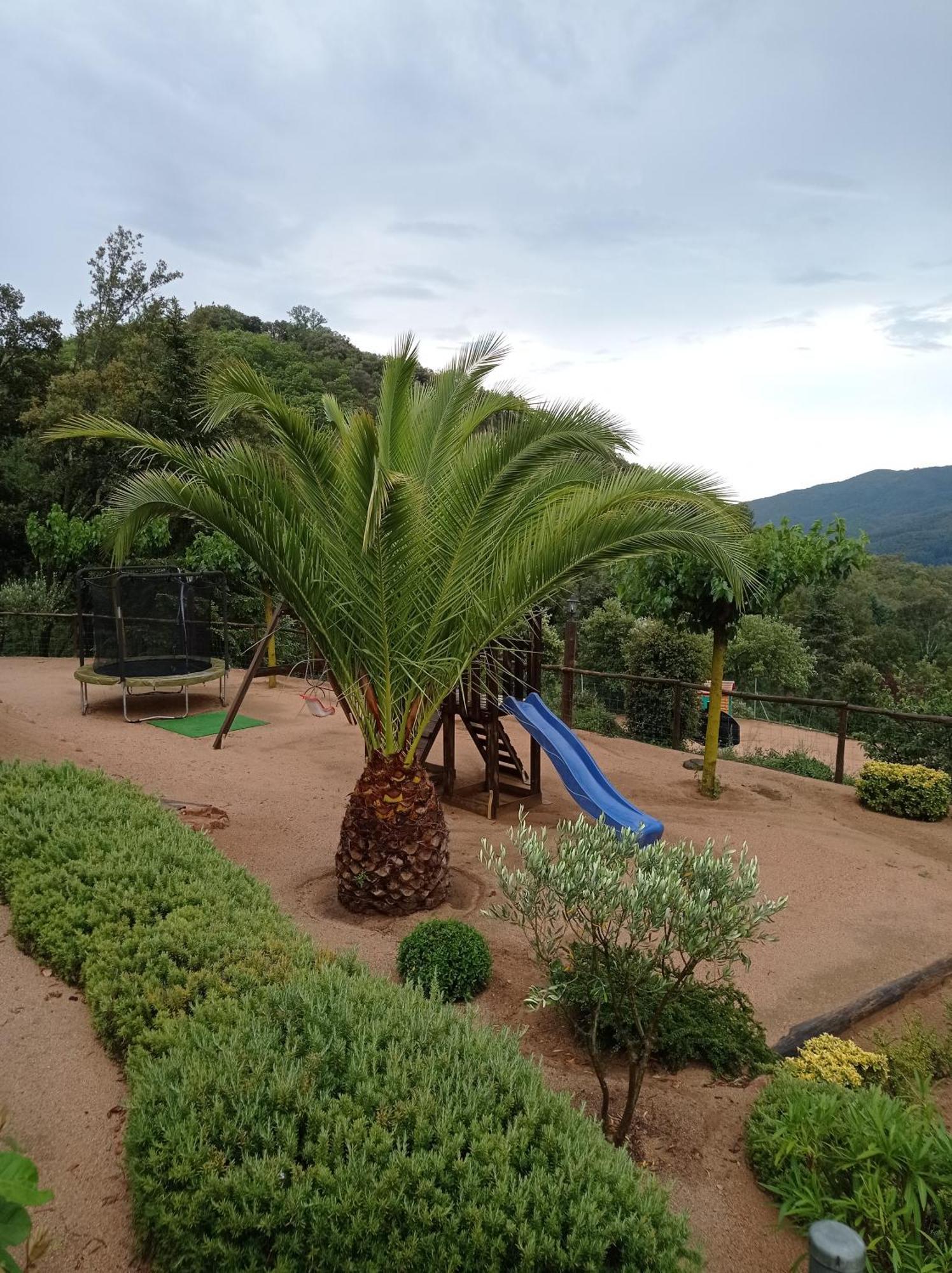 Apartamento En Pleno Montseny Mas Romeu Turisme Rural Arbúcies Εξωτερικό φωτογραφία