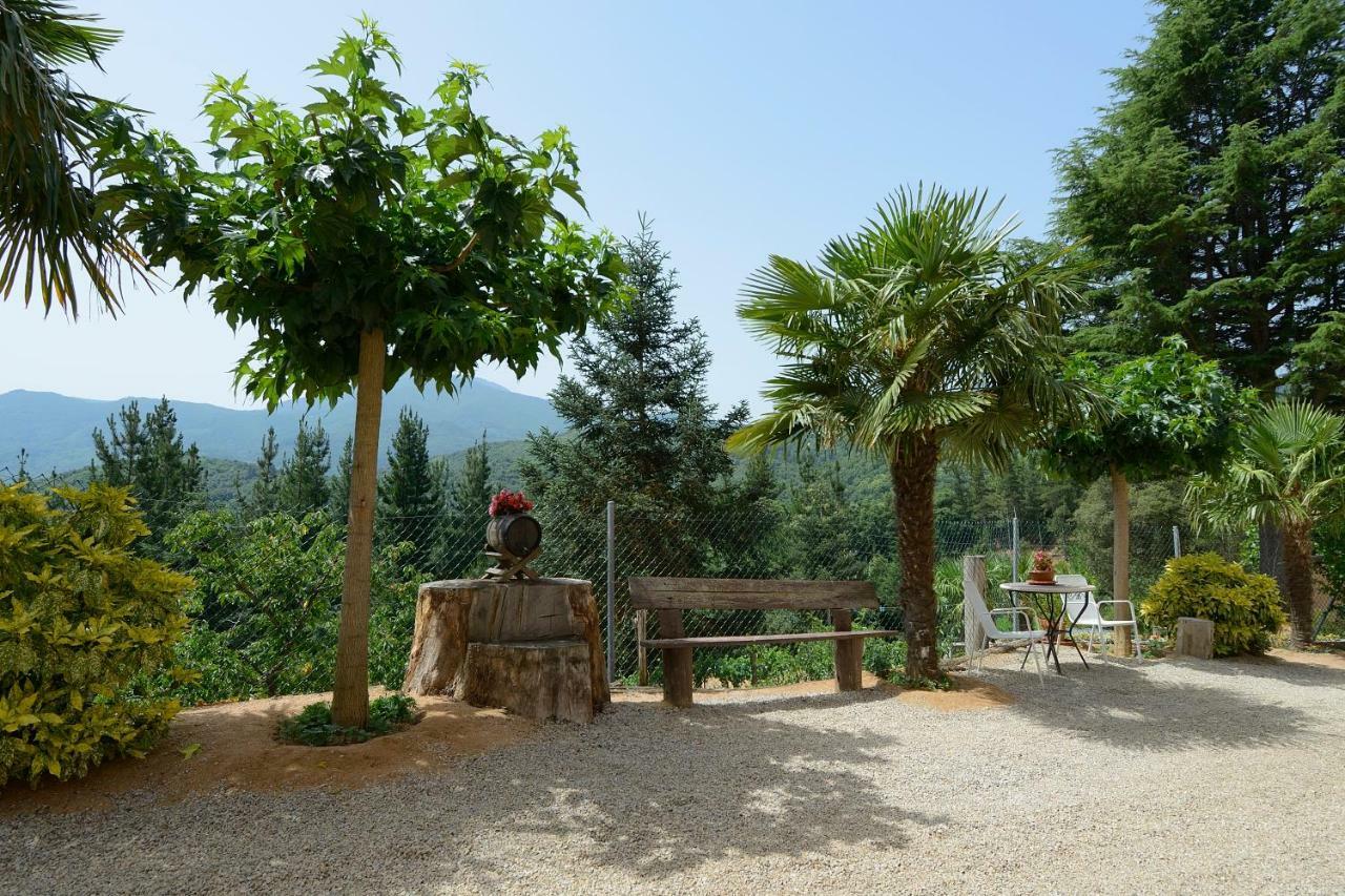 Apartamento En Pleno Montseny Mas Romeu Turisme Rural Arbúcies Εξωτερικό φωτογραφία